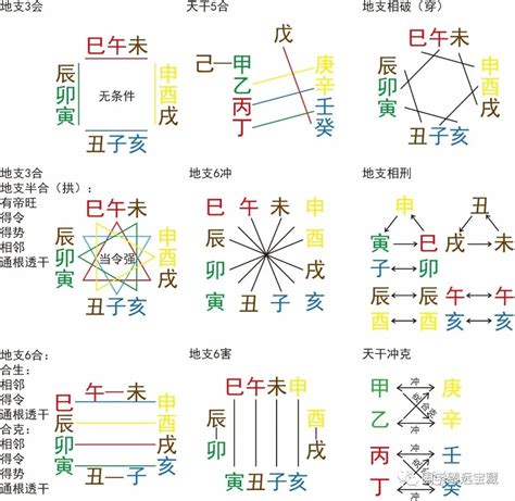 地支意思 經筋